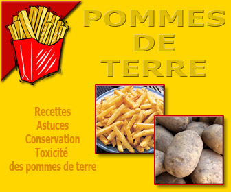 Recettes et conseils sur la pomme de terre